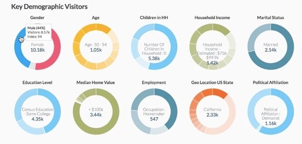 B2B Website Analytics Demographic Insights.jpg