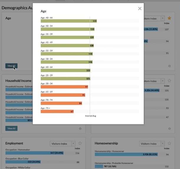 B2B Website Analytics Firmographics Profile.jpg